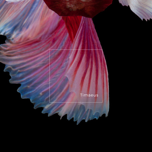 四川胖妇女BBBBBB一级毛片
